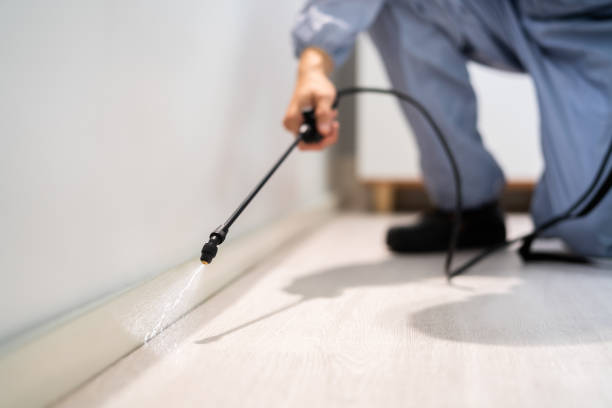 Licensed Pest Control service in Duquesne, MO - Show Me Pest Control