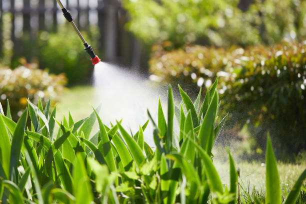 Tamper-Resistant Bait Stations for Rodents in Duquesne