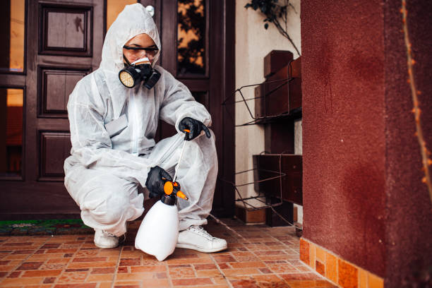 Attic and Crawl Space Rodent Treatment in Duquesne