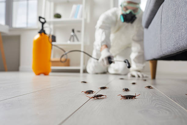 Commercial Rodent Management in Duquesne